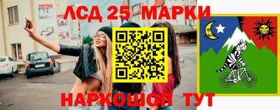 МДПВ Канаш