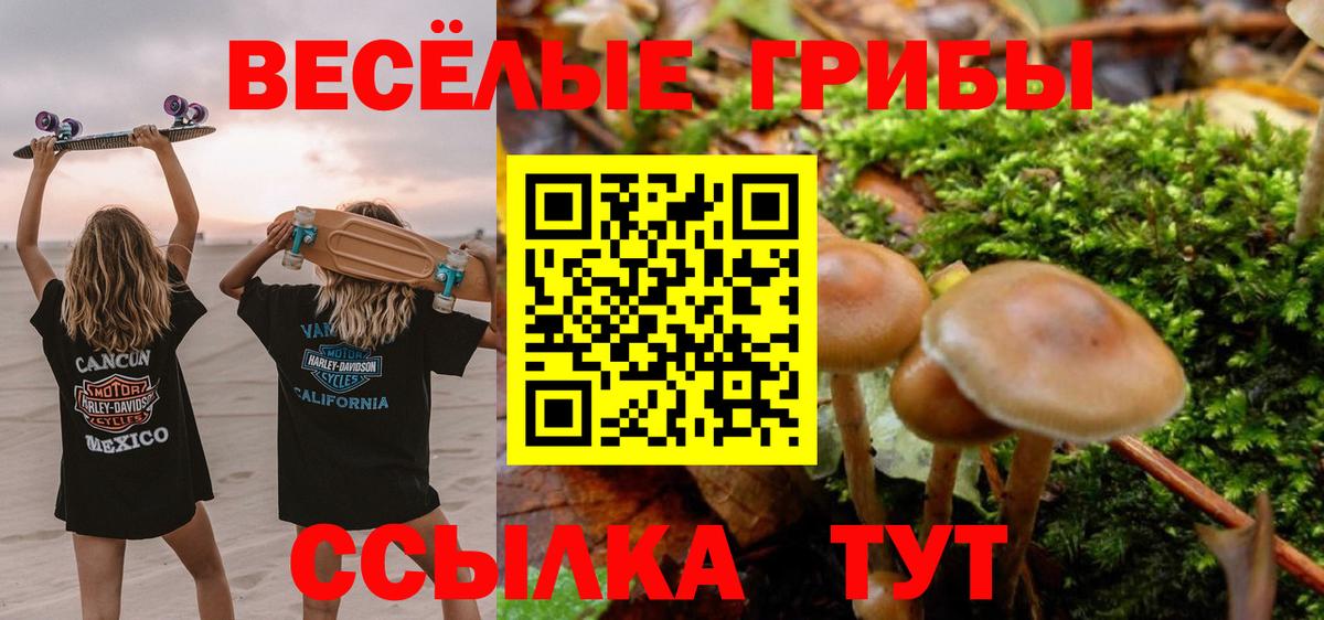 Галлюциногенные грибы Psilocybe  Галлюциногенные грибы Psilocybe  Краснодар  закладка  Вход с VPN 